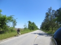 IMG_9798.JPG