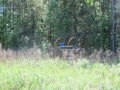 IMG_9805.JPG