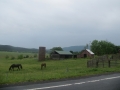 IMG_2493.JPG