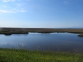 IMG_0701.JPG