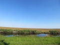 IMG_0718.JPG