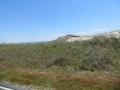 IMG_0778.JPG