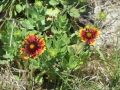 IMG_0794.JPG