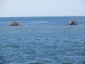 IMG_0812.JPG