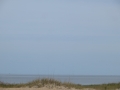 IMG_0887.JPG
