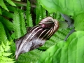 IMG_4708.JPG