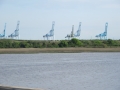 IMG_7398.JPG