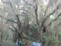 IMG_7462.JPG