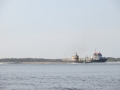 IMG_7525.JPG