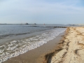 IMG_7527.JPG