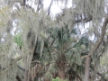 IMG_7649.JPG