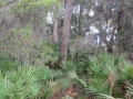 IMG_7651.JPG