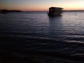 IMG_20141114_055047908