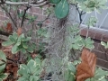 IMG_20141122_160648081