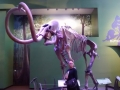 IMG_20141125_132610341