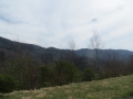 IMG_9061.JPG