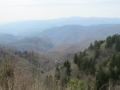 IMG_9065.JPG