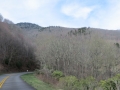 IMG_9073.JPG