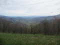 IMG_9399.JPG