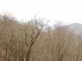 STA_9054.JPG