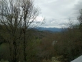 IMG_20150410_184958859.jpg