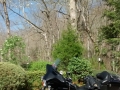 IMG_20150411_163053642.jpg