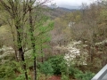 IMG_20150415_163851414_HDR.jpg