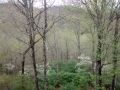 IMG_20150415_163857569.jpg