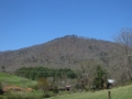 IMG_8877.JPG