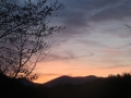 IMG_8907.JPG