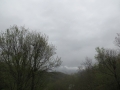 IMG_9154.JPG