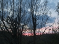 IMG_9156.JPG