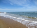 IMG_0836.JPG