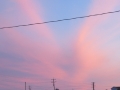 IMG_0880.JPG
