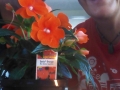 IMG_20150611_103944689.jpg