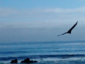 IMG_20140904_171241751