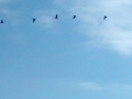 IMG_20140904_171248556