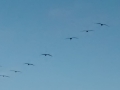 IMG_20140904_175024719
