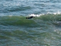 IMG_20140904_180615358