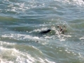 IMG_20140904_180813012