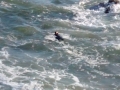 IMG_20140904_180916584