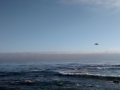 IMG_20140904_181303862