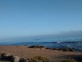 IMG_20140904_181856366