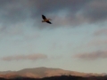 IMG_20140904_184759685