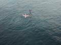 IMG_20140904_184954839