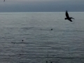 IMG_20140904_190240262