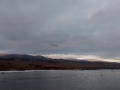 IMG_20140904_190645231