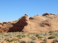IMG_4869