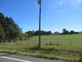 IMG_8058_1