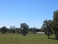 IMG_8064_1